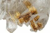 Rutilated Quartz Crystal Cluster - Brazil #172995-2